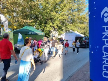 46. Święto Kwiatów, Owoców i Warzyw – relacja, 
